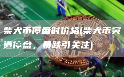 柴犬币停盘时价格 - 柴犬币突遭停盘，暴跌引关注